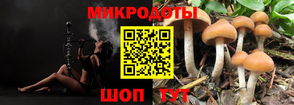 Галлюциногенные грибы Cubensis  Вход с VPN  Элиста 